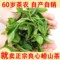 上下架计划:崂山绿茶 2014年新茶/春茶 大田茶豆香浓郁耐冲泡茶叶青岛500克
