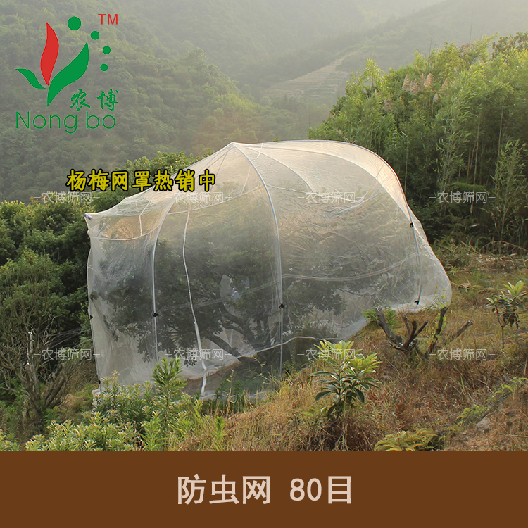 40目柑橘橘子楊梅抗老化防蟲網 網罩網室 蔬菜防蟲網大棚防鳥網袋在類目 農機/農具/農膜, 農膜/篷布/遮網/大棚, 農用防蟲網中 - 來自Buy2taobao.com提供專業的淘寶代購服務