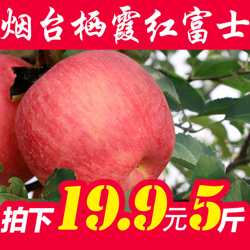 新鲜水果 山东特产正宗烟台栖霞红富士苹果5斤包邮批发80#