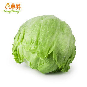 东升农场新鲜蔬菜 西生菜 球生菜 青菜 圆生菜 沙拉生菜 500g配送$