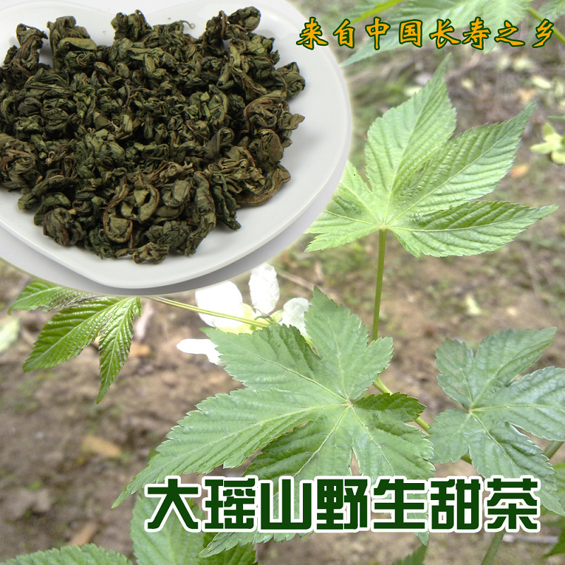 广西金秀大瑶山野生甜茶刺儿茶正品特价包邮400g|msdalam kategori beras/Utara-Selatan barangan kering/perasa, Utara-Selatan barangan kering/daging Kering, kering/Native, lain - dari Buy2taobao.com untuk memberikan perkhidmatan ejen Taobao profesional membeli