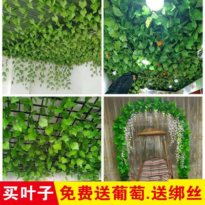 真藤条葡萄叶吊顶装饰假花管道缠绕藤蔓爬山虎塑料绿萝花藤叶