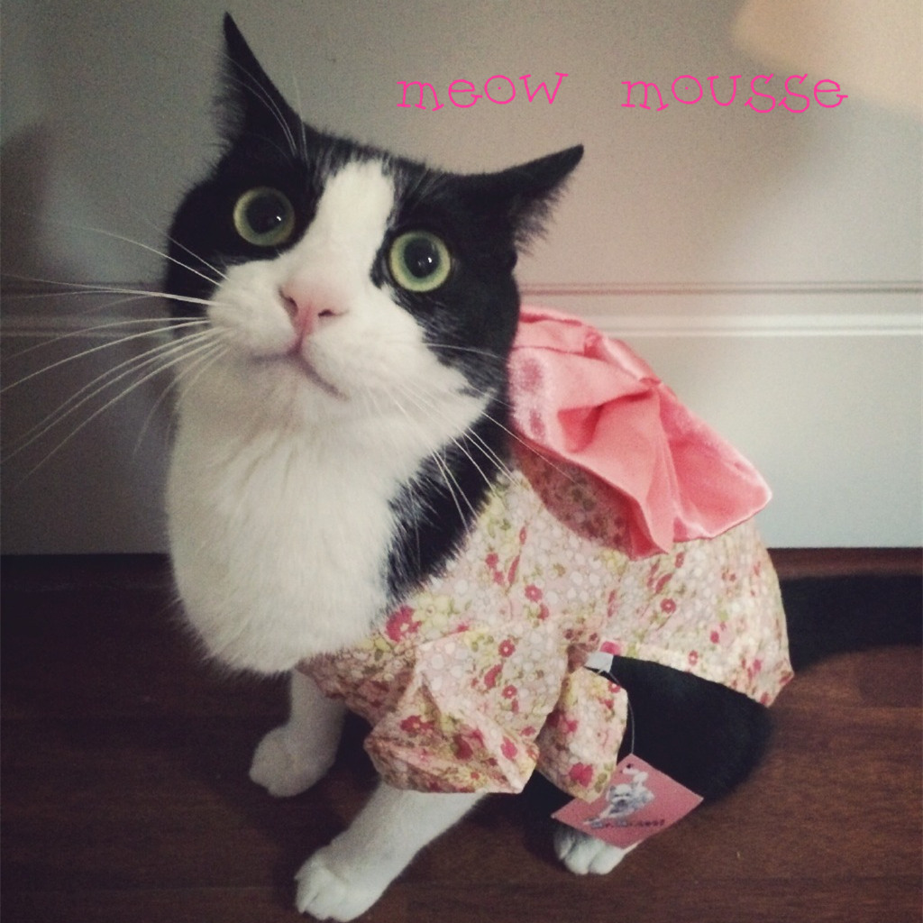 【喵慕斯】寵物夏裝和服貓咪狗狗衣服甜美碎花和服貴賓泰迪裙在類目 寵物/寵物食品及用品, 寵物服飾及配件, 寵物服裝/雨衣中 - 來自Buy2taobao.com提供專業的淘寶代購服務