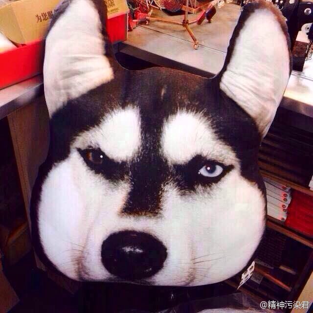 A outside originality personality lovely marry A birthday present Husky Samoyed Pillows Two Kazakh version pillowin the Festive supplies/Gift , Gift ideas , Creative Pillow category - from Buy2taobao.com to provide professional Taobao agent buy service