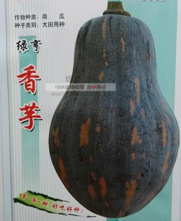 农科院老专家选育 香芋南瓜种子 肉质致密 味香面甜 高档蔬菜瓜果在类目 农用物资, 种子/种苗, 蔬菜种子中 - 来自Buy2taobao.com提供专业的淘宝代购服务