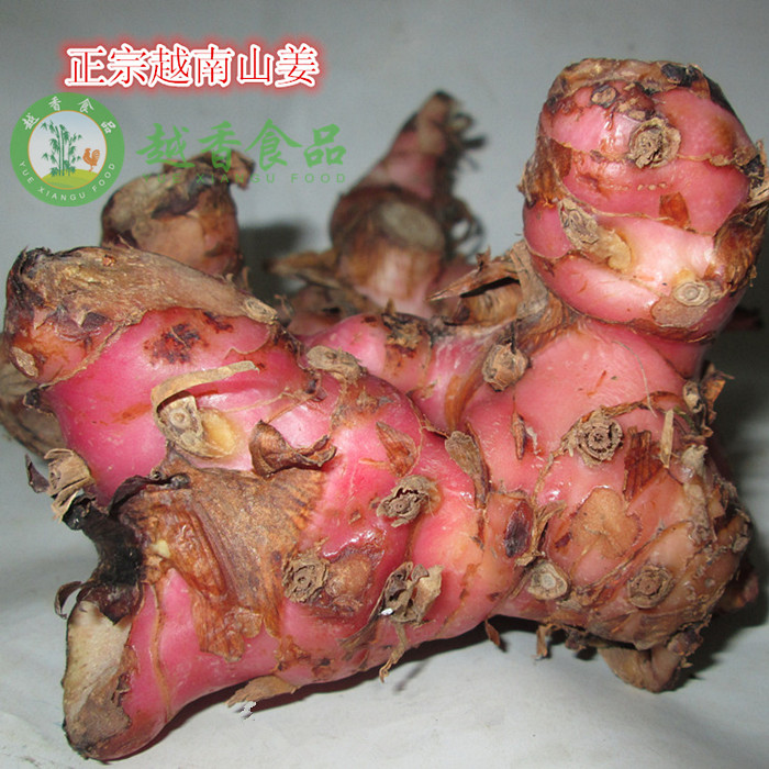越南南姜 高良姜生姜 山姜 進口 調味料 配料 新鮮 生姜 小山姜在類目 水產肉類/新鮮蔬果/熟食, 新鮮蔬菜/蔬菜製品, 生薑中 - 來自Buy2taobao.com提供專業的淘寶代購服務