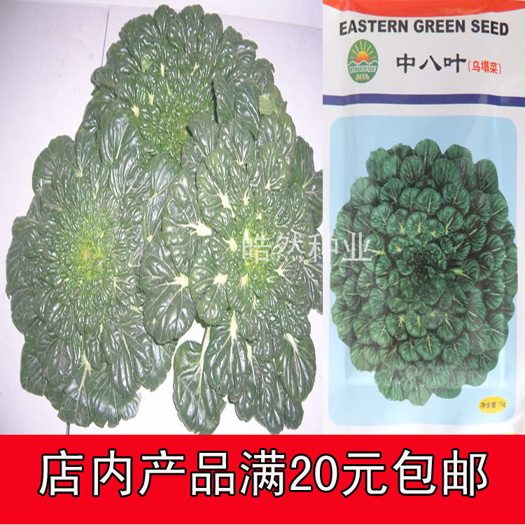 【乌塌菜种子】又称黑白菜保健 中八叶 瑞丽推荐 "维生素菜" 黑菜在类目 农用物资, 种子/种苗, 蔬菜种子中 - 来自Buy2taobao.com提供专业的淘宝代购服务