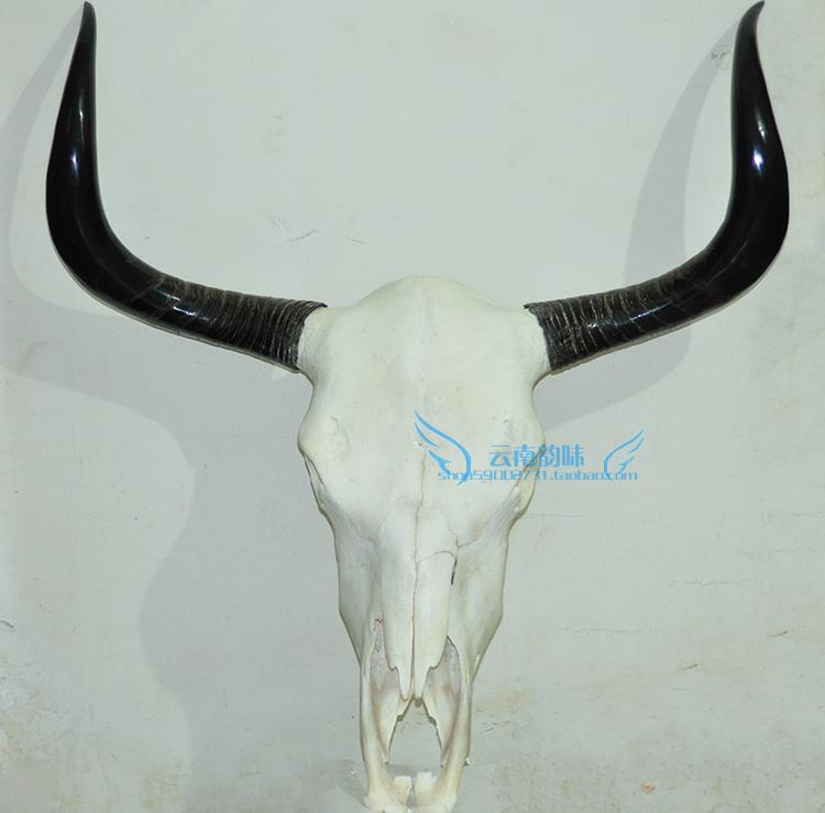 Factory direct sales natural skull Arts and Crafts Pendants Tibet Yak skull ornament Sheep skull specimensin the Arts and crafts , Minority handicrafts , Menba category - from Buy2taobao.com to provide professional Taobao agent buy service