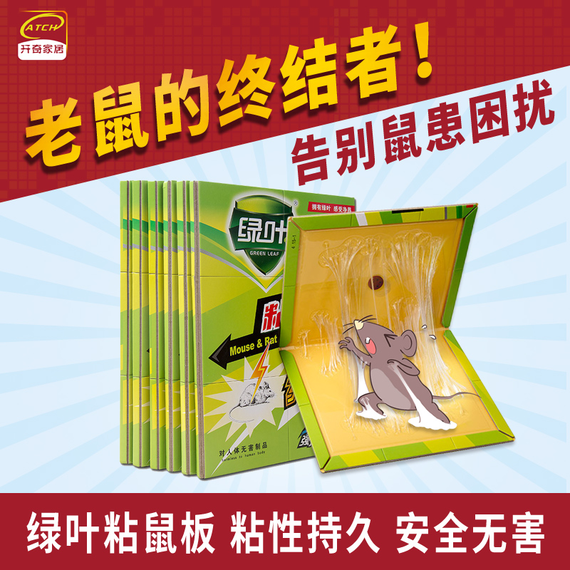 Green leaf Strong stick rat board Mouse Rat Rodent control Mouse glue 6 Affordable equipmentin the Care cleaners/Sanitary napkins/Paper/Aromatherapy , Deworming supplies , Rodent/Insecticide category - from Buy2taobao.com to provide professional Taobao agent buy service