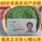 上下架计划:崂山绿茶 2014年新茶/春茶 大田茶豆香浓郁耐冲泡茶叶青岛500克