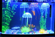 仿真软体水母水族箱造景装饰套餐仿真软体珊瑚鱼缸颜色可选