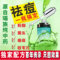 上下架计划:瑶安粉刺精华露中药祛痘去痘印黑头闭合性粉刺痤疮去痘痘产品正品