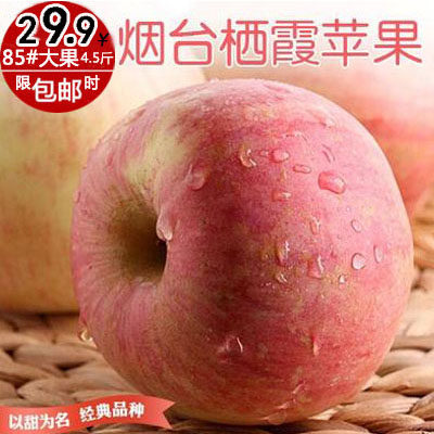 正宗山东烟台栖霞有机老苹果水果新鲜红富士批发超冰糖心特产包邮