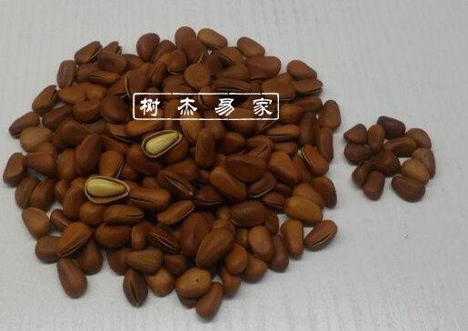 包郵東北特産興安嶺新貨開口松樹子500g野生紅松籽原味大松子滿仁在類目 零食/堅果/特產, 山核桃/堅果/炒貨, 松子中 - 來自Buy2taobao.com提供專業的淘寶代購服務