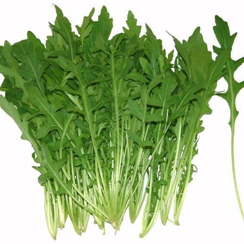 西餐配料 新鲜 芝麻菜 沙拉配菜13.50/250g在类目 水产肉类/新鲜蔬果/熟食, 新鲜蔬菜/蔬菜制品, 新鲜蔬菜, 其它中 - 来自Buy2taobao.com提供专业的淘宝代购服务