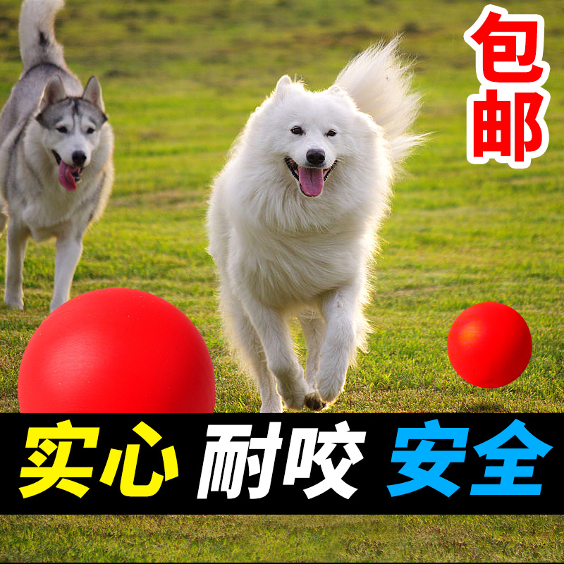 狗玩具球 大狗狗实心弹力球玩具 耐咬橡胶球金毛磨牙训导用品包邮在类目 宠物/宠物食品及用品, 猫/狗玩具, 橡胶球/球形玩具中 - 来自Buy2taobao.com提供专业的淘宝代购服务