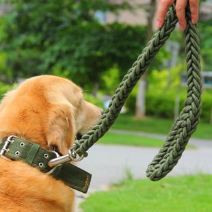 大型犬牵引绳带项圈，遛狗绳结实耐拉八股，编制金毛藏獒阿拉斯加