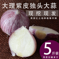 大理紫皮大蒜-蔬菜农家自种1500g包邮蒋氏食