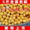 上下架计划:2014年农家优质 去皮豌豆 豌豆黄 新脱皮黄豌豆仁 精选生豌豆250g