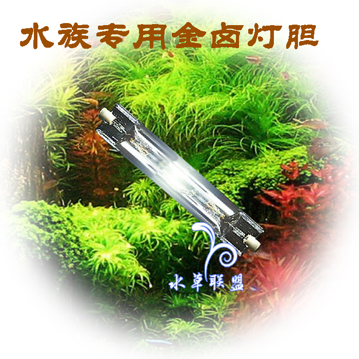 水族水族鱼缸金卤灯胆70W/150瓦20000K/8000K 10000超李木匠14000在类目 宠物/宠物食品及用品, 水族世界, 鱼缸等水族设备, 照明器材中 - 来自Buy2taobao.com提供专业的淘宝代购服务