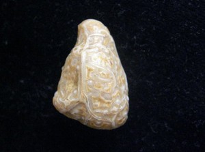古阿拉善戈壁玛瑙 天然原石精品瓷皮筋脉石 经