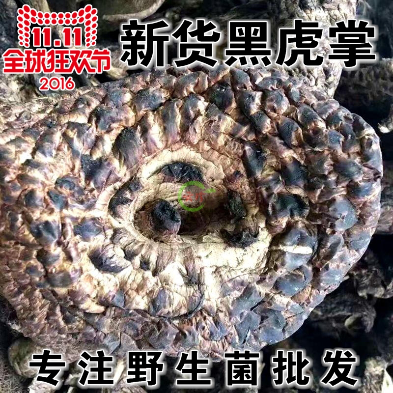 野生黑虎掌菌 煲汤香味无比正品牛肝菌煲汤50g云南楚雄野生菌包邮|msdalam kategori beras/Utara-Selatan barangan kering/perasa, Utara-Selatan barangan kering/daging Kering, kering/Native, kelas cendawan - dari Buy2taobao.com untuk memberikan perkhidmatan ejen Taobao profesional membeli