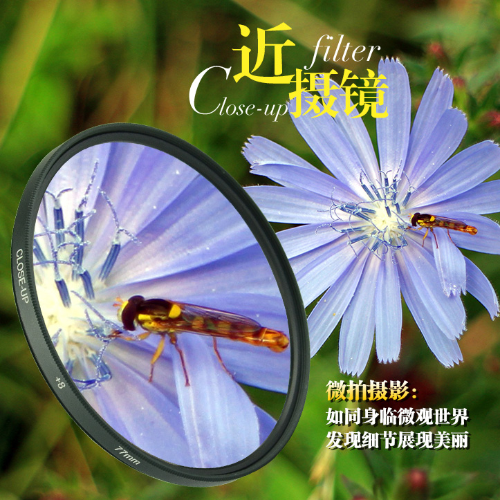 Di Sente Periscope Macro +2 +6 +8 + 10 caliber 49 55 62 67 72 77mm Filterin the 3C Digital Accessories, SLR/Single-camera accessories , Lens accessories , Filter category - from Buy2taobao.com to provide professional Taobao agent buy service