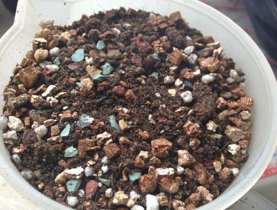 多肉专用颗粒土 大汉泥炭土蛭石珍珠岩火山石多肉土营养土5斤包邮