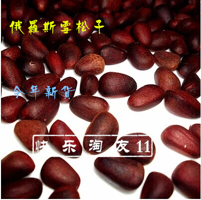 Xingan range wild Pine seed Original flavor Pine nuts Boiled Salt and pepper 500g Full of benevolencein the Snacks/Nuts/Specialty , Hickory/Nuts/Roasting , Pine nuts category - from Buy2taobao.com to provide professional Taobao agent buy service