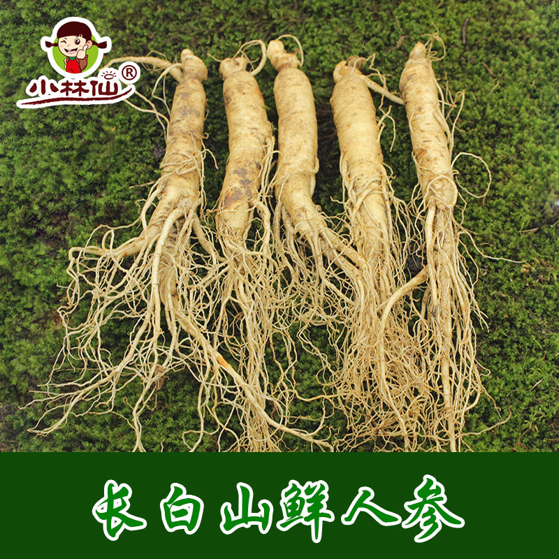 小林仙东北长白山新鲜人参带土野山参煲汤泡酒大个人参100g在类目 传统滋补营养品, 参类滋补品, 人参/园参中 - 来自Buy2taobao.com提供专业的淘宝代购服务