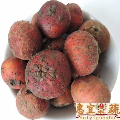 Loquat fresh 2 jins of Shun Feng Montreal Ficus tikoua Bur digua fig stem The benefits of fruits and vegetables should bein the Aquatic meat/Fresh fruits and vegetables/Cooked , Fresh fruit , Other category - from Buy2taobao.com to provide professional Taobao agent buy service