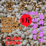 大薏米仁茶生薏苡仁茶贵州农家新货薏仁米粉白薏米粥无硫食用