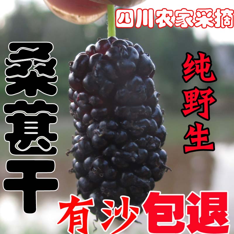 2019 Sichuan Province Farm wild Super Mulberry dry Mulberry mulberry Mulberry dry 500 G ain the Snacks/Nuts/Specialty , Confection/Class dates/Plum/Dried fruit , Mulberry dry category - from Buy2taobao.com to provide professional Taobao agent buy service