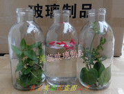 750ml菌种瓶玻璃瓶组培瓶温室 菌苗瓶虫草瓶食用菌玻璃广口瓶