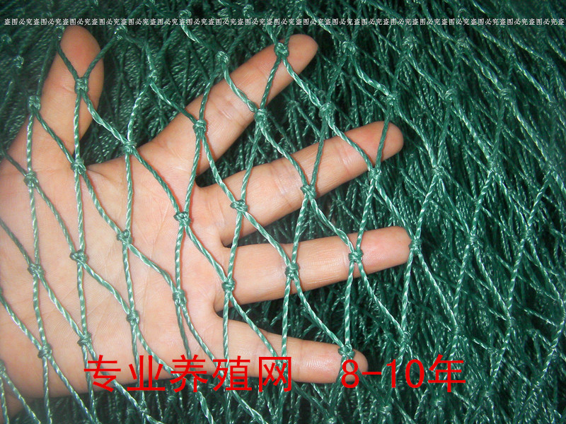 Poultry Network Aquaculture Network Chicken Network Block the chicken net Nylon mesh Plastic mesh Anti-bird netting Duck Purse netin the Flower delivery/Flowers simulation/Plants gardening , Gardening supplies , Other Garden Supplies category - from Buy2taobao.com to provide professional Taobao agent buy service