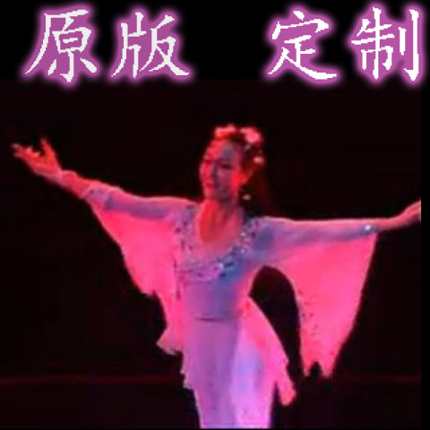 女子古典獨舞 桃李杯風 舞蹈台服裝 視頻定做出租 白色表演出服裝在類目 運動/瑜伽/健身/球迷用品, 舞蹈/健美操/體操, 中國古典舞, 古典舞服中 - 來自Buy2taobao.com提供專業的淘寶代購服務