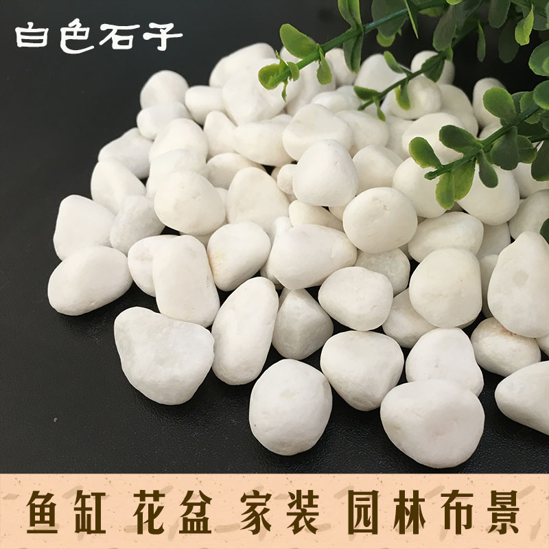 白色小石子大鵝卵石白石子多肉花盆盆栽陽台魚缸裝飾鋪面小白石頭在類目 鮮花速遞/花卉仿真/綠植園藝, 園藝用品, 其它園藝用品中 - 來自Buy2taobao.com提供專業的淘寶代購服務