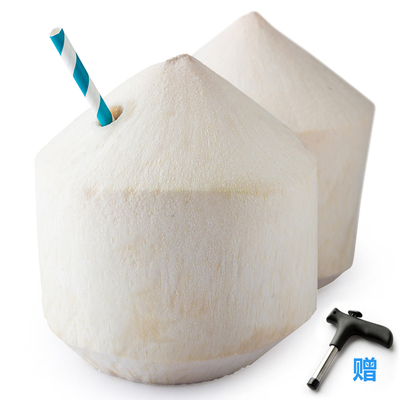 【天猫超市】泰国椰青4个约700g/个送开椰器椰汁椰子水果
