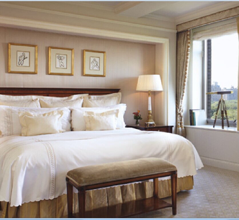 纽约中央公园丽思卡尔顿 Ritz Carlton 曼哈顿区 百老汇剧院区在类目 特价酒店/特色客栈/公寓旅馆, 酒店客栈套餐, 海外套餐中 - 来自Buy2taobao.com提供专业的淘宝代购服务