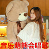 泰迪熊毛绒玩具熊公仔(熊，公仔)1.6米抱抱熊熊猫玩偶布娃娃生日礼物送女友