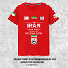 伊朗Iran短袖T恤纯棉男 世界杯足球衣训练队服运动休闲夏装