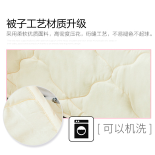DIY空调抱枕被子两用定制logo图片来图照片双面情侣生日礼物