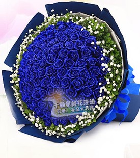 99朵蓝色妖姬同城送花 鲜花约会北京 鲜花店蓝色玫瑰鲜花速递爱情