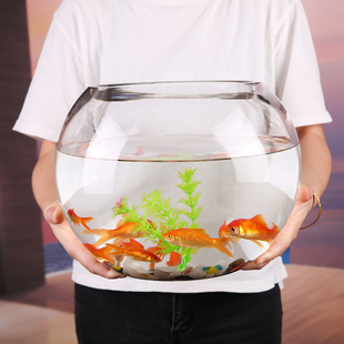 创意圆形玻璃鱼缸透明大号桌面，加厚乌龟缸金鱼缸，水培客厅风水招财