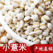 小薏米小薏仁米新货新鲜贵州薏苡仁薏仁米五谷杂粮农家5斤