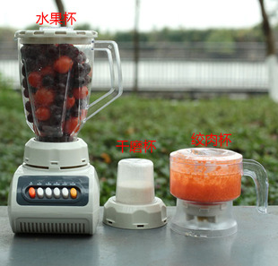 多功能榨汁机果汁机家用电动迷你小型食物料理机搅拌机