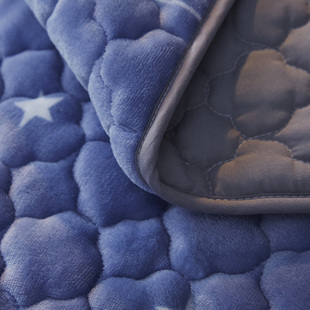 珊瑚绒床单冬季绒加绒单件法兰绒毯子垫床毛毯褥子加厚法莱绒双层