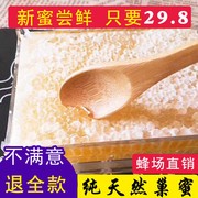 农家自产蜂巢蜜原生态纯正天然野生百花蜜老蜂巢蜂蜜山花巢蜜500g