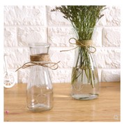 现代简欧创意玻璃干花瓶摆件透明客厅插花装饰摆设小绿萝水培容器