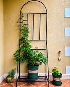欧式铁艺花架落地式植物，爬藤架室，外带底座阳台铁线莲支架